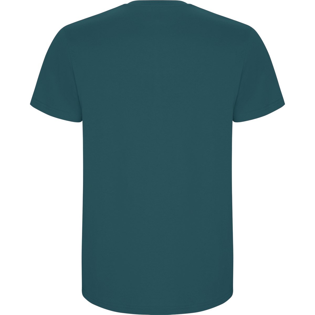T-shirt premium – Blue lake (dos)