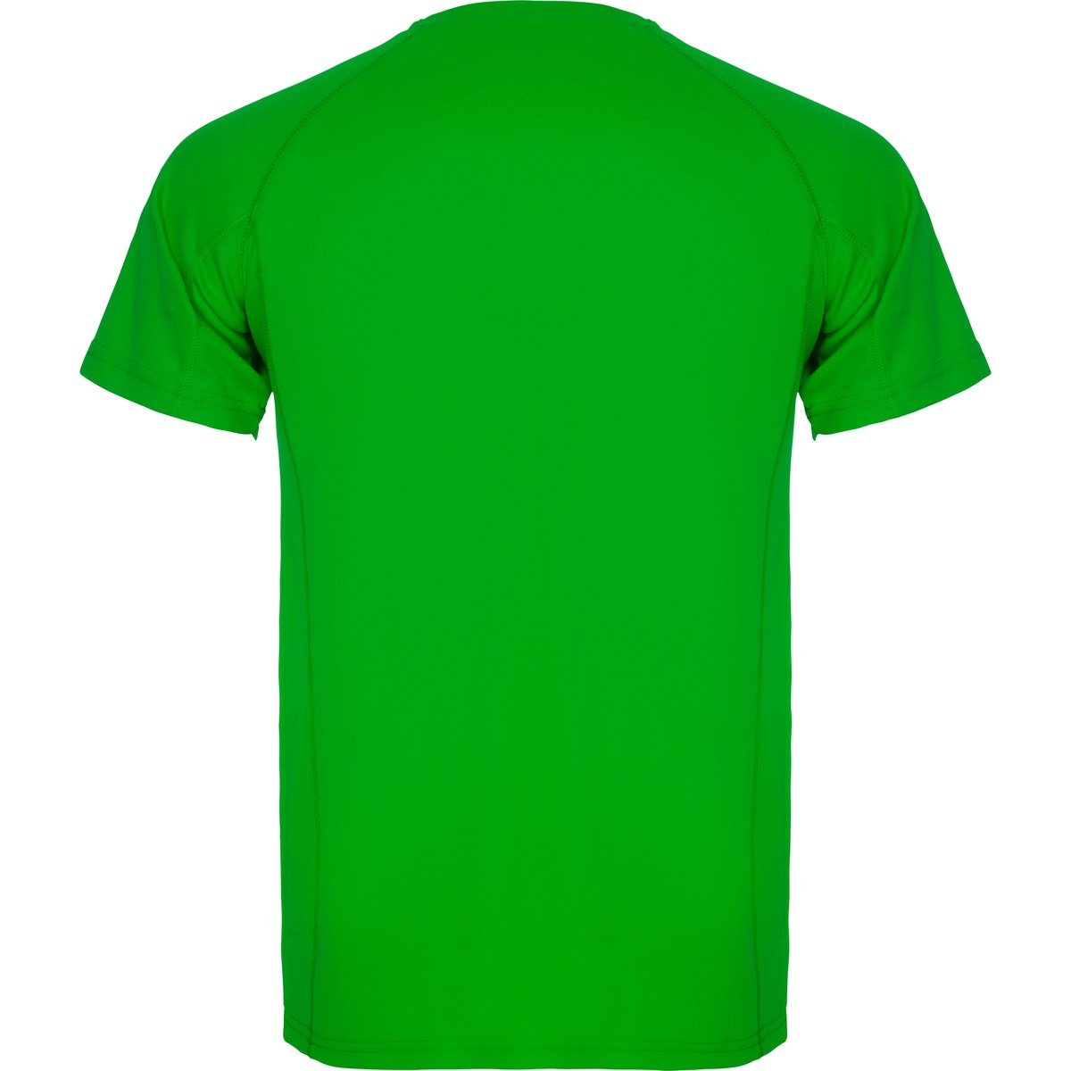 T-shirt technique – Vert fougère (dos)